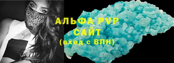 СК Новозыбков