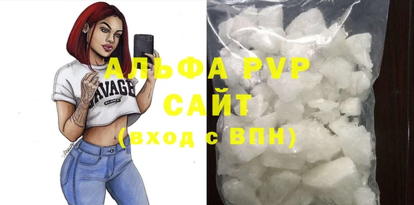 СК Новозыбков