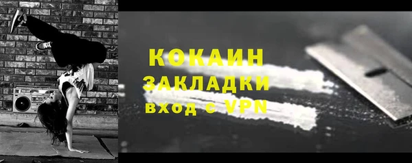 СК Новозыбков