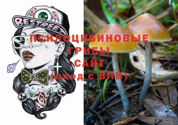 МДМА Новодвинск