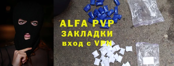 СК Новозыбков
