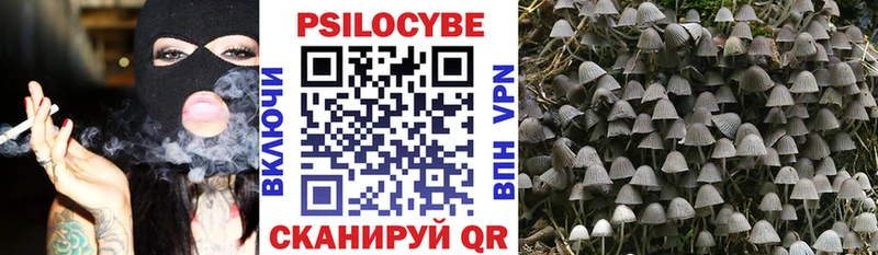 Купить где  Староминская  Псилоцибиновые грибы Magic Shrooms 